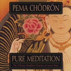 Pure Meditation