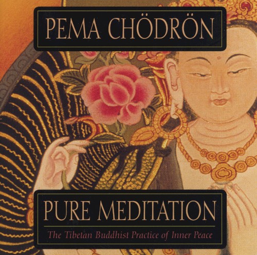Pure Meditation