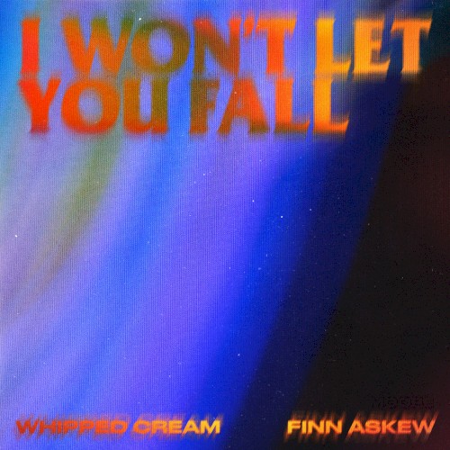 I Won't Let You Fall