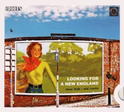 Looking for a New England