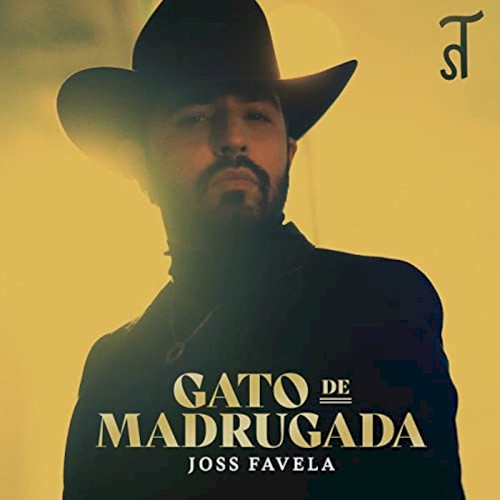 Gato de madrugada