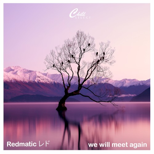 We Will Meet Again