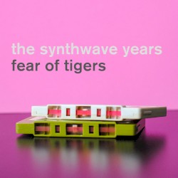 The Synthwave Years
