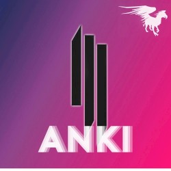 Summit (Anki bootleg remix)