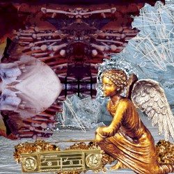 †‡† vs. Fostercare