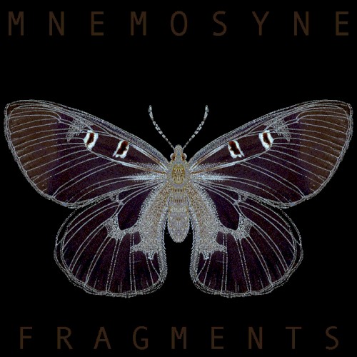 Fragments