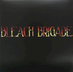 Bleach Brigade