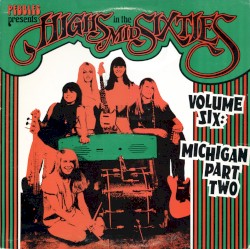 Highs in the Mid Sixties, Volume 6: Michigan, Part 2