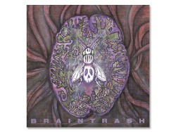 BRAINTRASH (ビジュアル編)