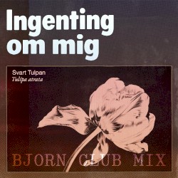Ingenting om mig (Bjorn remix)