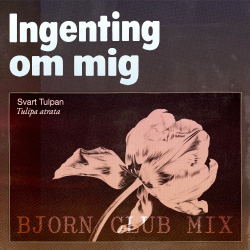 Ingenting om mig (Bjorn remix)