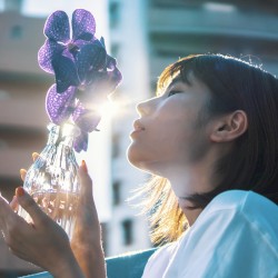 心置き