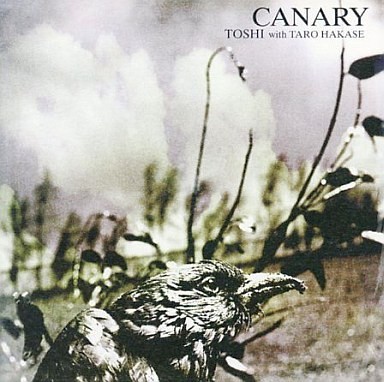 Canary