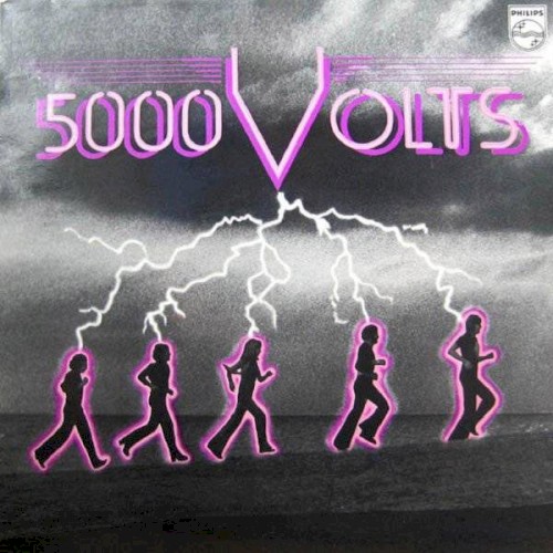 5000 Volts