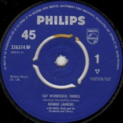 Say Wonderful Things