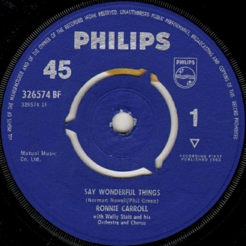 Say Wonderful Things