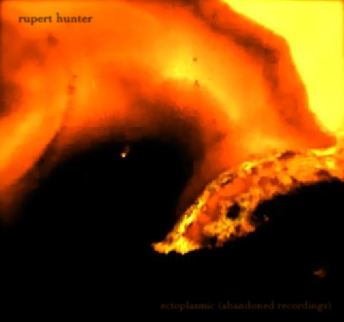 ectoplasmic