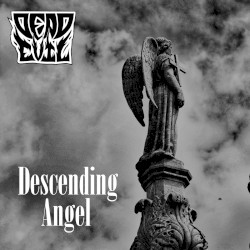 Descending Angel