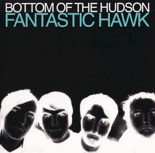 Fantastic Hawk
