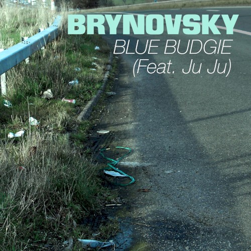 Blue Budgie