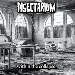 Within the Collapse