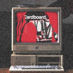 Cardboard.