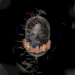 Rat Cage