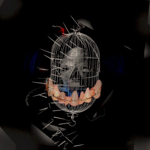 Rat Cage