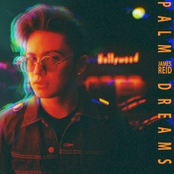 Palm Dreams