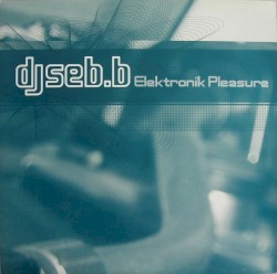 Elektronik Pleasure