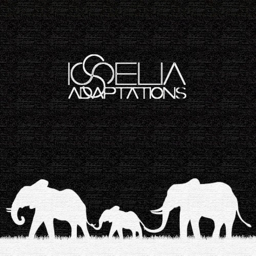 Adaptations