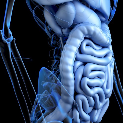 BAPTISM: 7. IMMANUEL