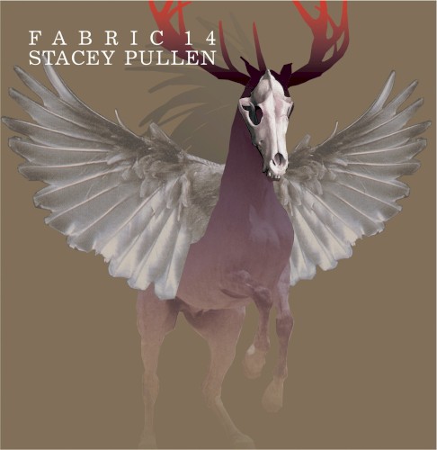 Fabric 14: Stacey Pullen