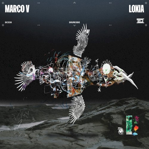 Loxia