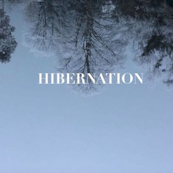 Hibernation