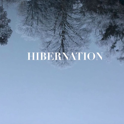 Hibernation
