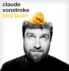 Bird Brain