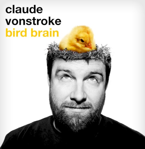 Bird Brain
