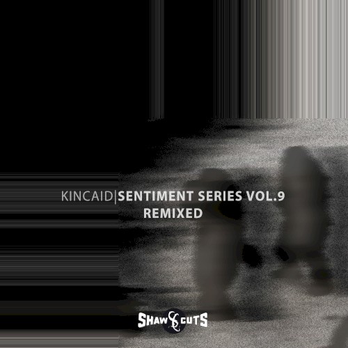 Sentiment Series Vol.9 - Remixed
