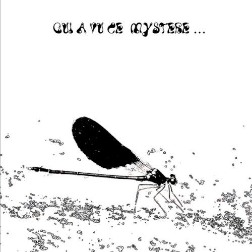 Qui a vu ce mystère…