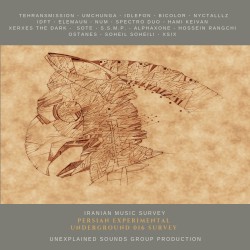 Persian Experimental Underground Survey