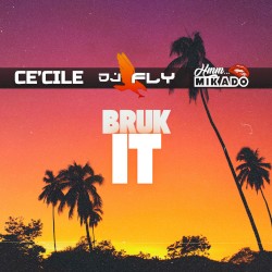 Bruk it