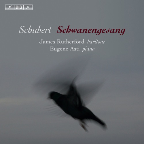 Schwanengesang