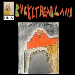 Visions of The Silver Mines Live