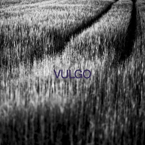 Vulgo
