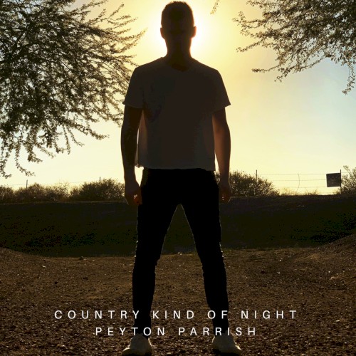 Country Kind of Night