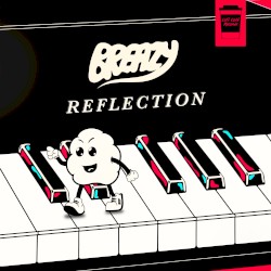 Reflection