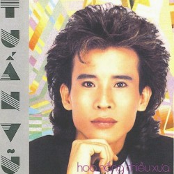 Hoa Nắng Chiều Xưa