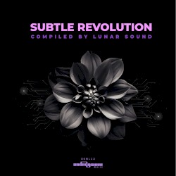 Subtle Revolution