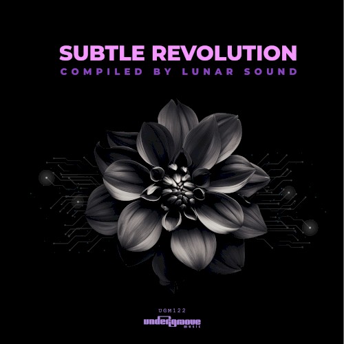 Subtle Revolution